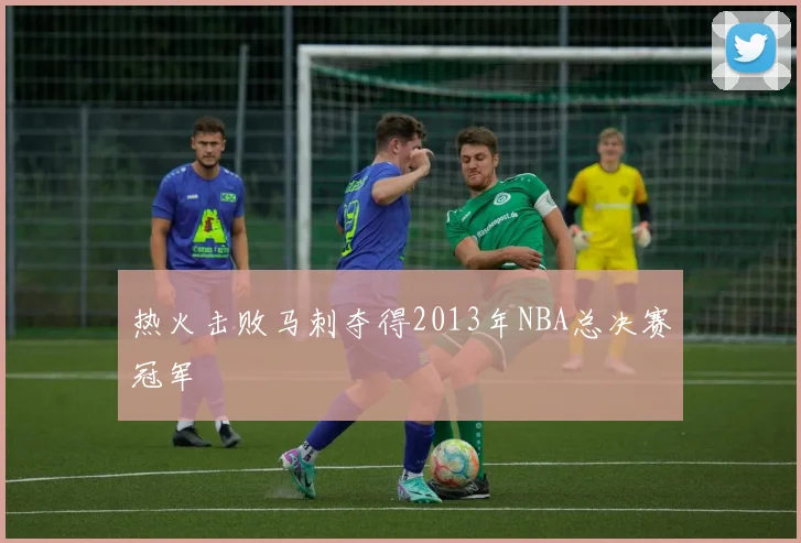 热火击败马刺夺得2013年NBA总决赛冠军