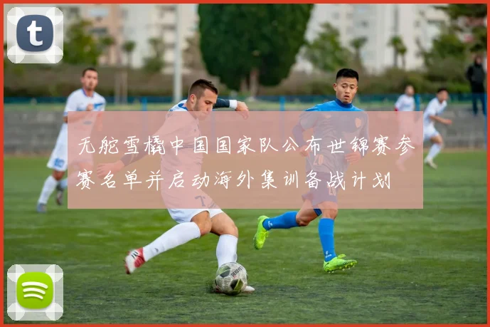 无舵雪橇中国国家队公布世锦赛参赛名单并启动海外集训备战计划