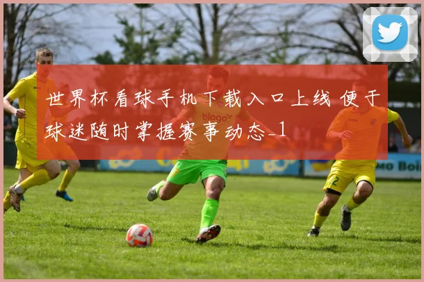 世界杯看球手机下载入口上线 便于球迷随时掌握赛事动态_1